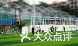 广州足球场爆料视频大全,精彩瞬间与幕后故事集锦