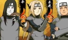 火影在哪爆料的视频播放,揭秘神秘视频播放，独家爆料引粉丝热议