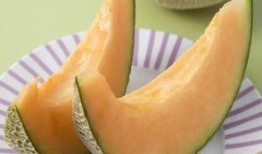 甘肃的哈密瓜免费吃,免费品尝甜蜜诱惑